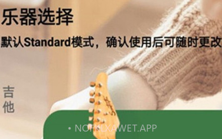 美代子调音器v1.01.30701.10截图