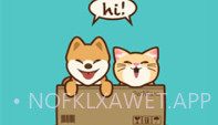 petnfans宠物社交v3.4.8截图