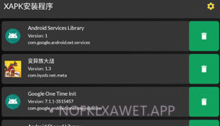 XAPK管理器XAPKManagerV2.2.11截图