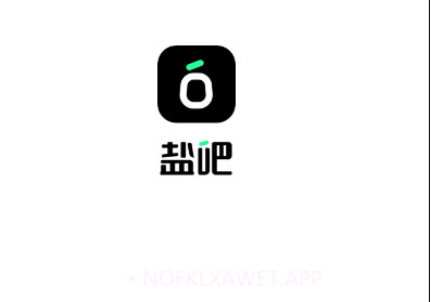 盐吧v2.0.4v2.0.6截图