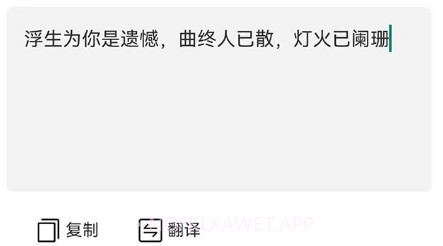 飞咕提词器v1.0.13截图
