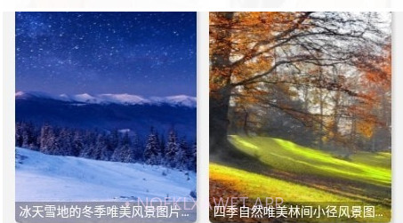 优美图库v1.0.9截图
