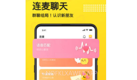 连麦语音v1.0.13截图