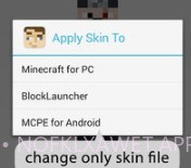 Minecraft皮肤偷取器v1.9截图