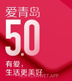 爱青岛v5.12截图
