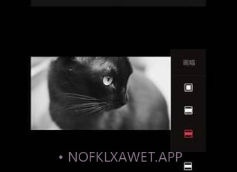 VUEv1.7截图