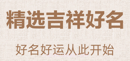 易经国学起名v3.1.12截图