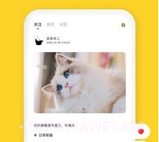 尖叫猫v3.0.7截图