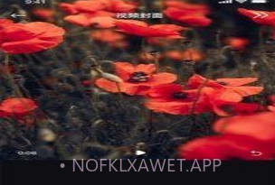 丝瓜编辑v1.0.11截图