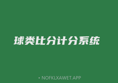宏远计分助手v2.0.11截图