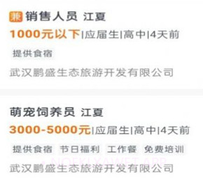 江夏招聘网v1.1.8截图