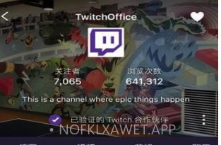 twitchv4.5.8截图