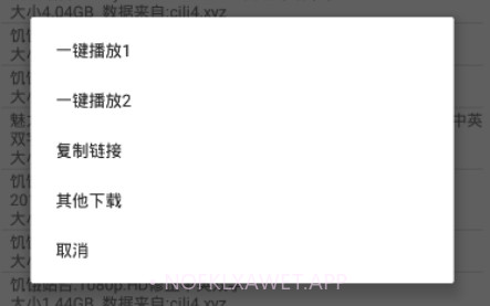 比特舟pro鐎瑰宕渧1.10截图