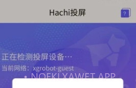 Hachi投屏v2.6截图