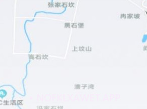 wee fit智能手表v1.0.8截图