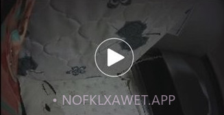 P ONEv1.0.9截图