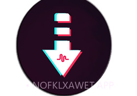抖音视频下载器v1.9截图