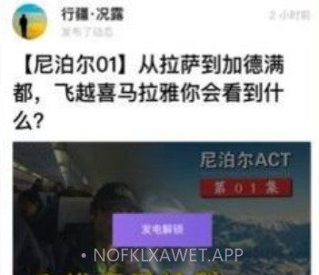 爱发电免费版v0.0.5截图