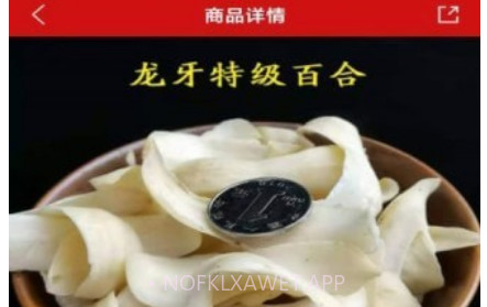 鲍氏商城v1.0.10截图