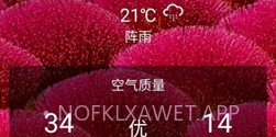 Sorgs天气v5.6截图
