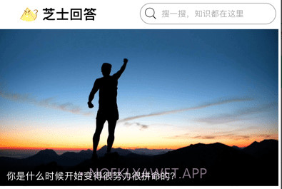 芝士问答v1.0.11截图