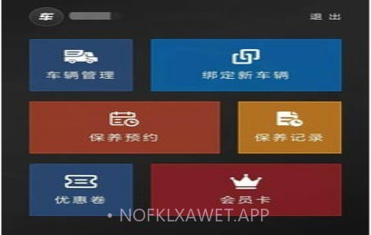 车管家VIPv1.1.13截图
