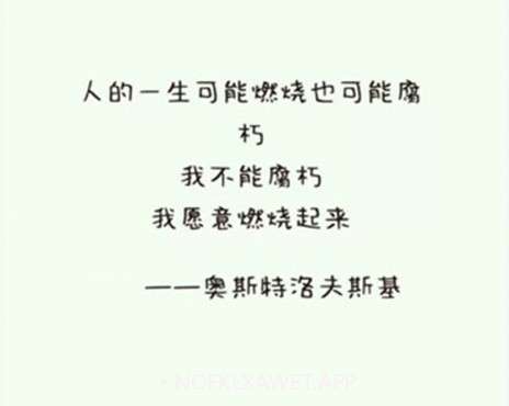 喵喵手账v5.13截图