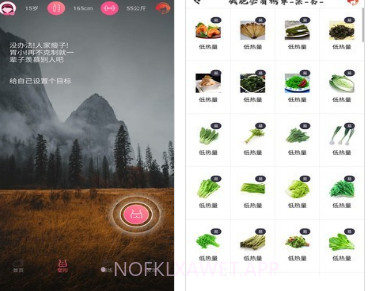 瘦瘦快减肥v6.13截图