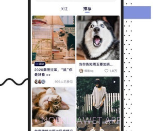 Feedv1.6.5截图