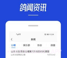 青鸽网v3.6.10截图