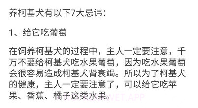 宠物点点v1.4.5截图