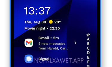 Niagara Launcher proV1.0.8截图