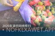 福乐山庄云祭扫V1.8截图