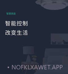 风扇灯Prov1.2.9截图