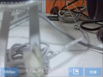 NVSIP appv4.5.8截图