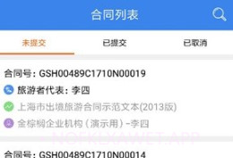 金棕榈钥签v1.0.7截图