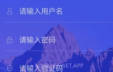 新道考试系统v1.0.11截图