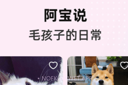 阿宝说v1.0.9截图