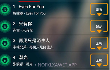搜云音乐手机版v2.8截图
