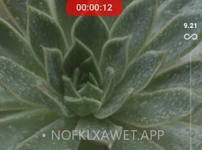 Motioncamv1.2.8截图
