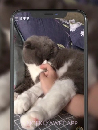 嗨皮猫短视频v1.0.14截图