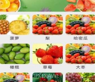 果果多点v1.5.7截图