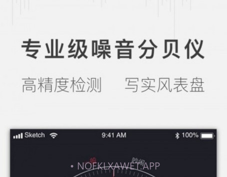 安心分贝仪v1.1.12截图