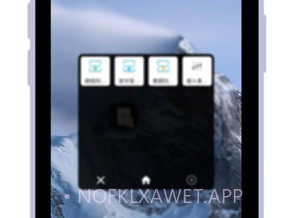 智能截图打码v1.0.12截图
