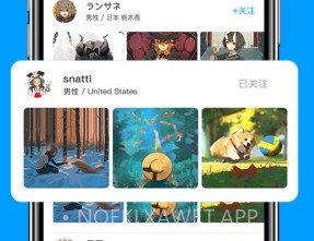 P站助手v1.9截图