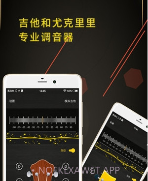 调音器大师v1.0.13截图