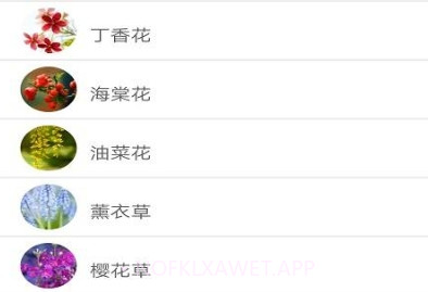 品植-植物识别软件v1.5截图