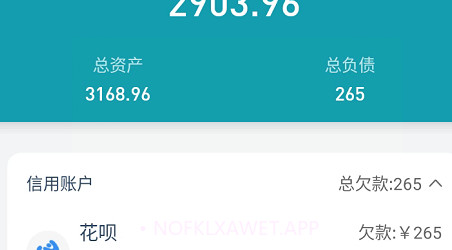 桌面记账本v1.0.8截图