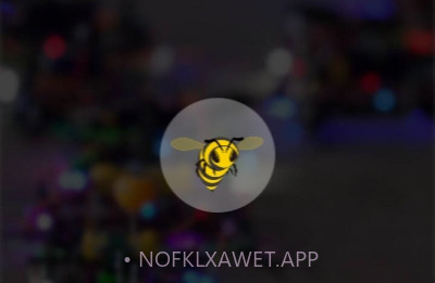 SpeedyBee中文版v1.4.8截图