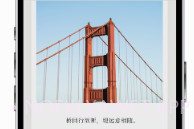 诗片V1.0.5截图